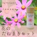 [ цветок. .... комплект Mini Cosmos ]Living botanical garden( living *botanikaru* сад )