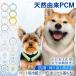  pet. comfortably summer * pet accessories S/M/L heat countermeasure cool ring dog neck cooler cooling goods cold sensation goods pet cat one Chan small size dog medium sized dog large dog walk 