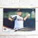 * BBM2016 Yomiuri Giants обычная карта G05 криптомерия внутри ..*