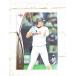 * BBM2016 Yomiuri Giants обычная карта G48 средний . большой .*