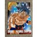 * самый жребий Dragon Ball THE GREATEST SAIYAN F. прозрачный файл 1 листов Dragon Ball супер . свое усмотрение. высшее смысл Monkey King *
