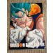 * самый жребий Dragon Ball THE GREATEST SAIYAN F. прозрачный файл 1 листов Dragon Ball супер SSGSSbejito*