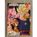 * самый жребий Dragon Ball VS сборник I.A4 прозрачный файл 1 листов . человек bu& Monkey King *