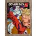 * самый жребий Dragon Ball VS сборник I.A4 прозрачный файл 1 листов Monkey King & свободный The *