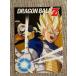 * самый жребий Dragon Ball VS сборник I.A4 прозрачный файл 1 листов супер носорог ya человек Vegeta & человек структура человек 19 номер *