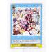 * Weiss Schwarz бустер упаковка тент Live production HOL/W91-029 R Bouquet *