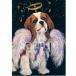 Suzannekya шероховатость a King Charles spaniel карта "ANGEL" поздравительная открытка собака рисунок многоцелевой карта подарок карта 