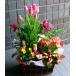  flower gift Father's day opening festival . birthday present plant arrange popularity ranking 