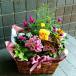  flower gift Father's day opening festival . birthday present plant arrange popularity ranking 
