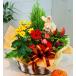  Father's day opening festival . flower popularity ranking incidental plant basket 16 flower gift present etc. conditions attaching free shipping 