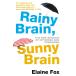 RAINY BRAIN,SUNNY BRAIN(B) жизнь .