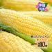  бесплатная доставка утро .. premium сладкий кукуруза 10шт.@[ отгрузка начало :1 месяц ~]/ местного производства Okinawa Ishigakijima ju-si-.. высота сахар раз ... масло соевый соус ..... кукуруза 