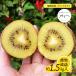  киви бесплатная доставка gelateriakalahe.... киви примерно 1.5kg ввод [ отгрузка время :11 месяц ~]/ местного производства желтый киви Fukuoka прямая поставка от производителя сахар раз .. киви фрукты длина фруктовое дерево .