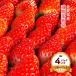  Saga префектура производство клубника бесплатная доставка [ flat река клубника сельское хозяйство .] клубника san ( чай коробка розовый маленький P) 1 коробка 4P ввод / клубника . фрукты . для бытового использования . дом для крупный превосходящий товар бренд клубника синий .