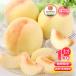  Okayama. персик товар вид смешивание 1kg(5~6 шар ) [ отгрузка время :7 месяц сверху .~ последовательный отправка ] [MOMONA Peach Farm]/.. Okayama префектура производство Shimizu белый персик фрукты фрукты . для бытового использования есть перевод дом для бесплатная доставка 