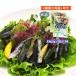  бесплатная доставка [ гора .] бакалейные продукты водоросли салат 15g(5g×3 пакет комплект )×2 пакет комплект / салат / водоросли / нить ..../ уксус. предмет / водоросли суп /../ водоросли салат 