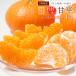 . flat * товар с некоторыми замечаниями *4kg L~5L размер смешивание бесплатная доставка фрукты шар Цу .. клуб [ доставка время :2 месяц сверху . примерно ~]/ мандарин mi can ...... для бытового использования местного производства Ehime префектура предварительный заказ распродажа 