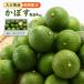  Ooita префектура производство ... orange сельское хозяйство .... превосходящий товар 4kg [ отправка время :9 месяц средний .~11 конец месяца ]/ka Boss Ooita префектура производство сырой ..... местного производства прямая поставка от производителя предварительный заказ распродажа бесплатная доставка 