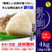  серебряный. .4kg (2kg×2 пакет ) белый рис выгода комплект Gifu префектура .. район специальный культивирование рис .. только ..... .. .. мир 7 год производство бесплатная доставка ( часть район за исключением )