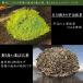 . моти комплект зеленый чай .. моти hojicha .. моти зеленый чай конфеты японские сладости набор сладости .. моти ООО . Izumi Kyoto (столичный округ) бесплатная доставка отметка ..