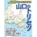  Yamaguchi. руководство пользователя 