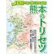  Kumamoto. руководство пользователя 