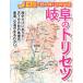  Gifu. руководство пользователя 