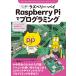 jibn специальный персональный компьютер Raspberry Pi. программирование : игра ... из свободный изучение до ..... возможен! ( ребенок. наука *mi Like lieitib)