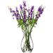 LSA( L ese-) цветок основа ( ваза для цветов ) GRAND POSY прозрачный высота 32cm FLOWER( цветок ) G429-32-301