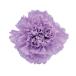  поток ru ever консервированный цветок стандартный гвоздика soft lilac примерно цветок диаметр 5.0×H6.0cm 6 колесо входить FL001100-043