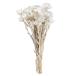  большой земля сельское хозяйство . сухой цветок Mini серебряный te-ji-( примерно 25g ввод ) белый DO032001-011