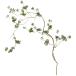  Tokyo .(Tokyodo) искусственный цветок MAGIQ Heart leaf tsuig Galland зеленый L154cm FG002609-zzz