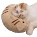 kya чай man (CattyMan)... . кошка подушка ..nyan