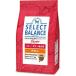 betsucho стул select баланс papi-chi gold маленький частица собака *. собака для 3kg