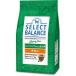 betsucho стул select баланс sinia высота . собака для chi gold маленький шарик 3kg
