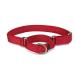 PetSafe( домашнее животное safe ) ошейник собаки premium цвет красный M размер ( ширина 2.5cm)