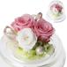  консервированный цветок Cafe консервированный цветок День матери день рождения po M ( розовый )