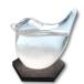 fullion storm стакан птица Storm Glass контрабас приложен погода .. бутылка интерьер подарок bird bird 