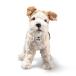 shu type (Steiff) лиса терьер. Foxey Steiff orignals Foxterrier Foxy 076862