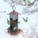  наружный для metal висячий bird механизм подачи двор. обратная сторона двор. терраса поэтому. крепкий крыша . прикрепленный водонепроницаемый Hamming bird механизм подачи белка устойчивый -37*23.5*29CM- bronze 