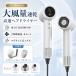 ヘアドライヤー ドライヤー 高速ドライヤー 速乾 大風量 マイナスイオン 1200w 恒温 過熱防止 高速 軽量 とかすだけで ストレート ツヤ髪 コンパクト ヘアケア