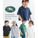  футболка ребенок одежда Kids POLOCHAMPS рубашка-поло с коротким рукавом мужчина девочка лето tops cut and sewn | рост 120/130cm |nisennissen