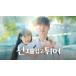 ���{�ꎚ�� �؍��h���}�u�\���W�F�w�����đ���vBlu-ray