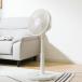 AC модель living вентилятор (30cm FM02NG-WH)nitoli