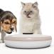 6 meal minute for pets timer type automatic feeder nitoli