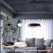 Loop LED-pendant light петля LED подвесной светильник внутренности LED ARTWORK STUDIO искусство Work Studio 