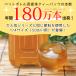 ���� 500ml �y�b�g�{�g�� �}�C�{�g�� �p ���� 9g�~30�ܓ�(15�܁~2�Z�b�g) (0) ���[���� �������� �֘A�摜1