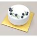 �P�[�L �䎆 �� �S�[���h �l�p�y1���z�i�P���j20.3�~20.3cm ����0.6cm �����g���C/�g���[