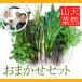  natural edible wild plants set 500g&lt;BR&gt; incidental set (. taking person * laughing face. .)
