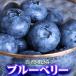  blueberry nature cultivation Father's day gift raw less pesticide approximately 1kg( approximately 500g×2Pacs) free shipping Bon Festival gift Tochigi prefecture .... production direct your order gourmet fruit fruit present 